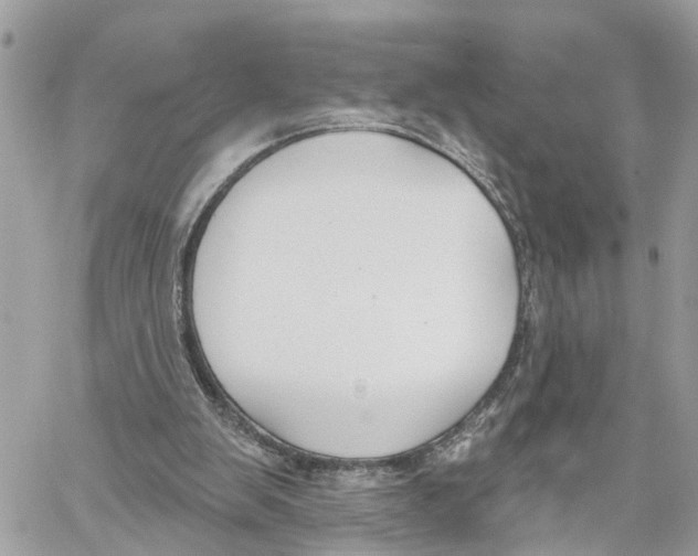 X0000059840103200511181523