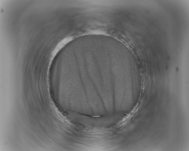 X0000059840104200511181523