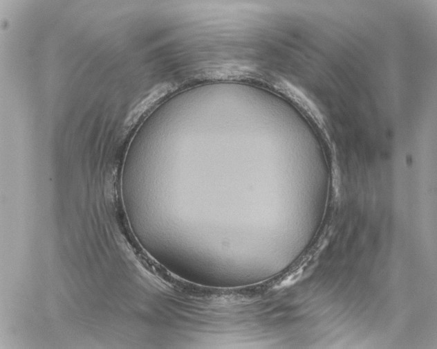 X0000059840105200511181523