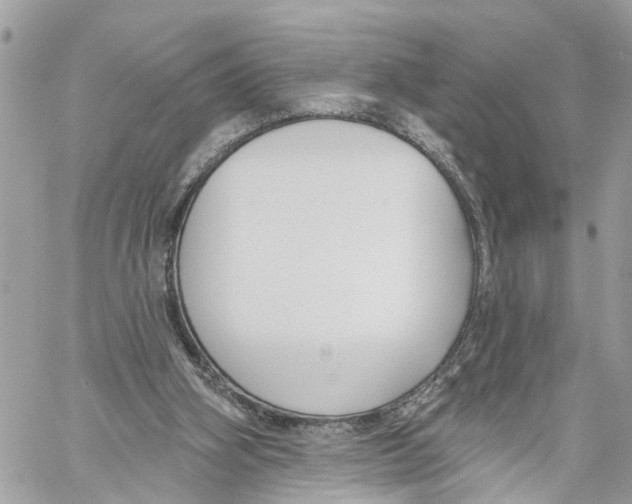 X0000059840106200511181523