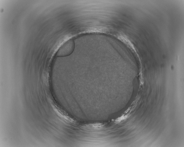 X0000059840108200511181523