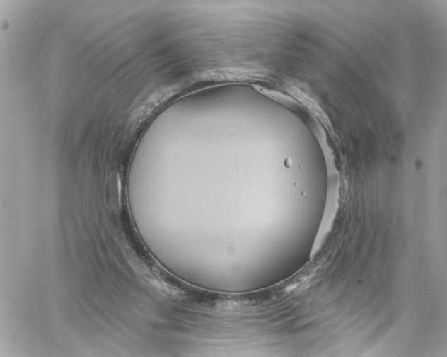 X0000059840109200511181523