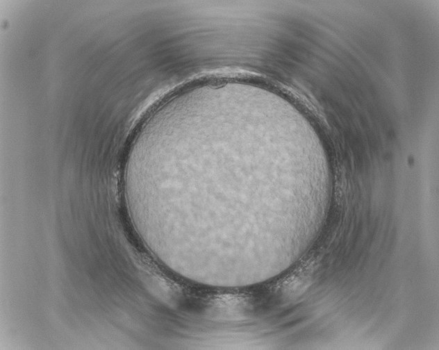 X0000059840111200511181523