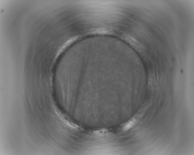 X0000059840112200511181523