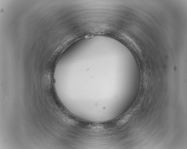 X0000059840113200511181523