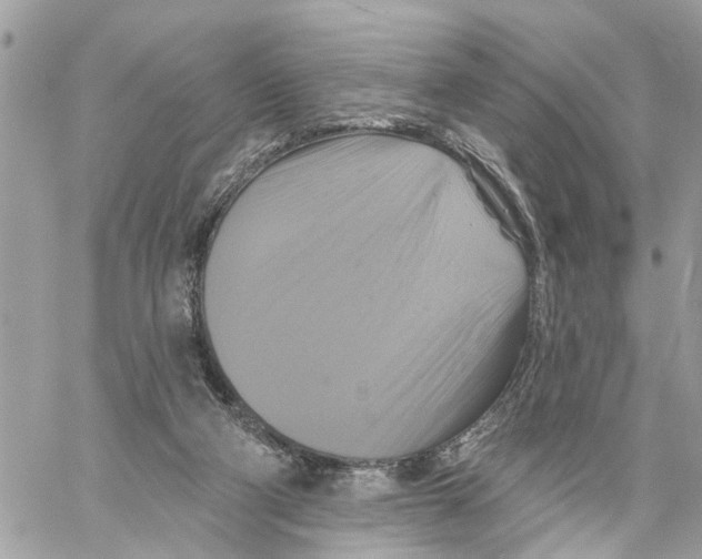 X0000059840114200511181523