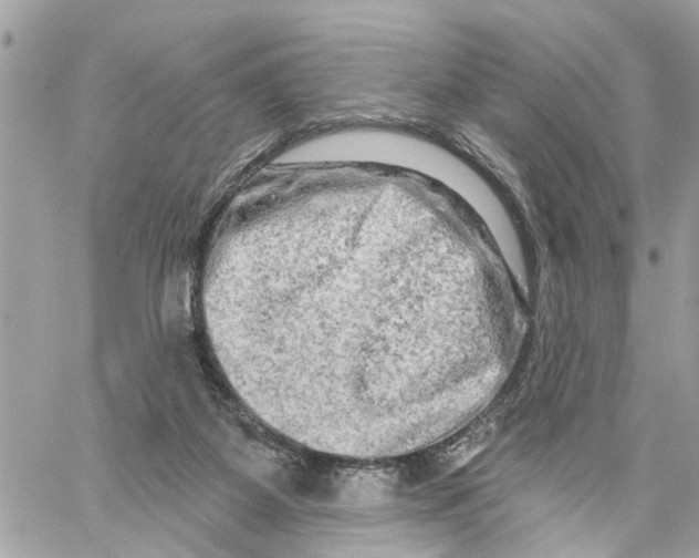 X0000059840115200511181523