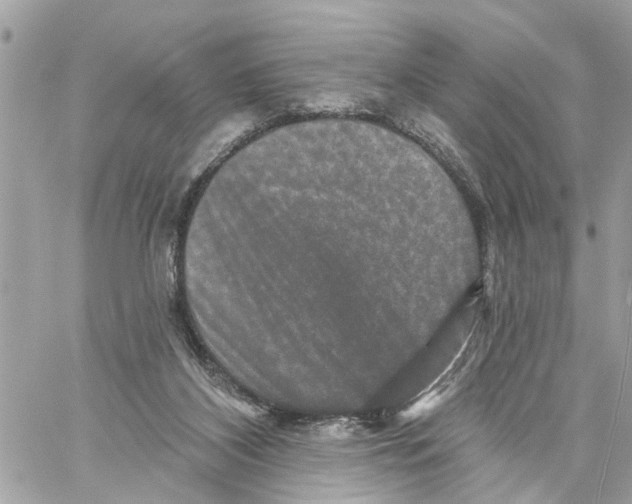 X0000059840116200511181523