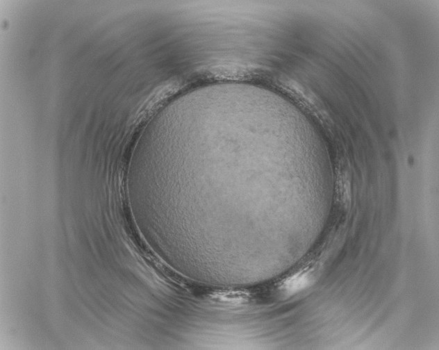 X0000059840117200511181523