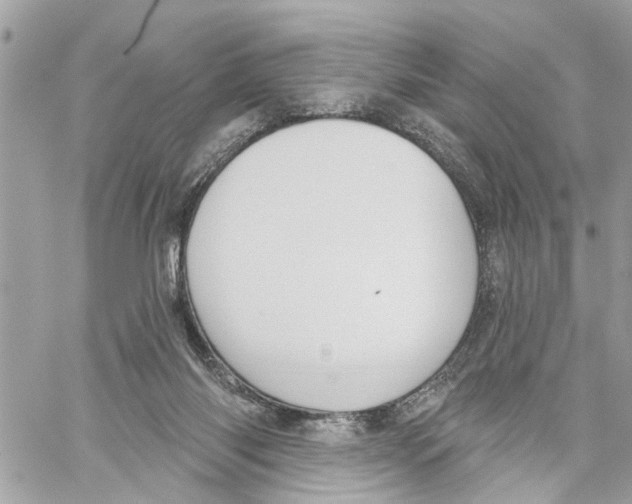 X0000059840118200511181523