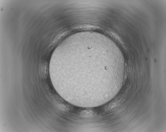 X0000059840119200511181523