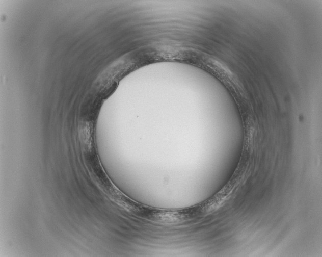 X0000059840121200511181523