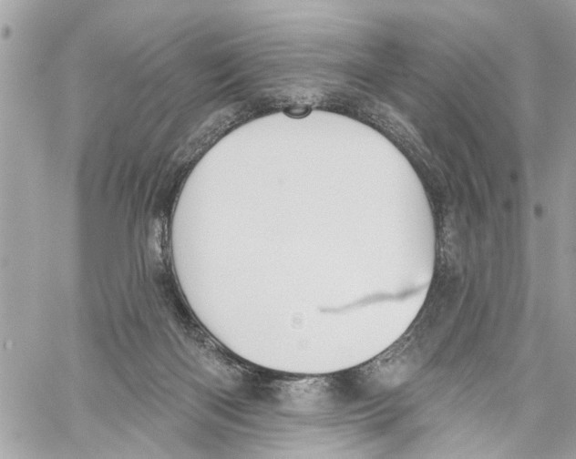 X0000059840122200511181523