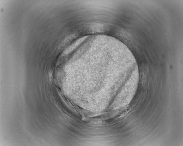 X0000059840123200511181523