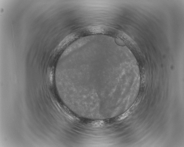 X0000059840124200511181523