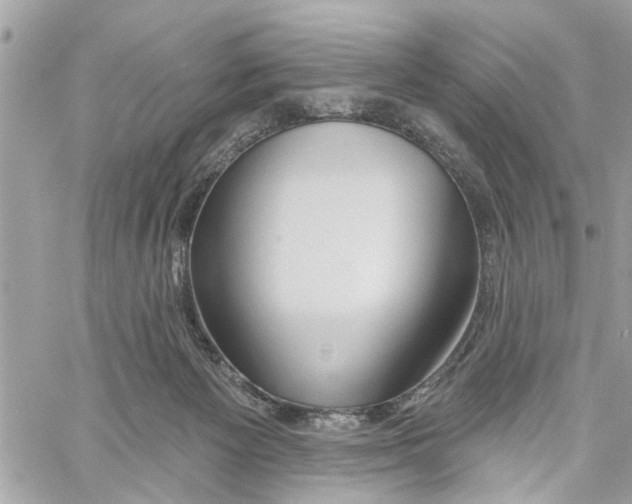 X0000059840125200511181523