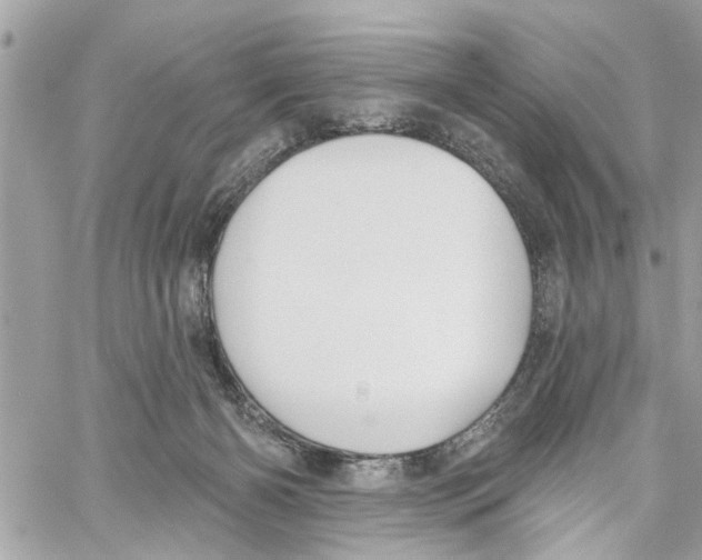 X0000059840126200511181523