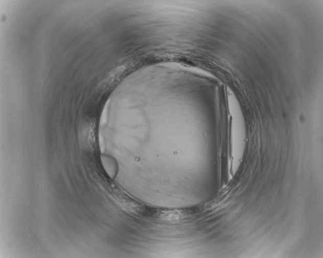 X0000059840127200511181523