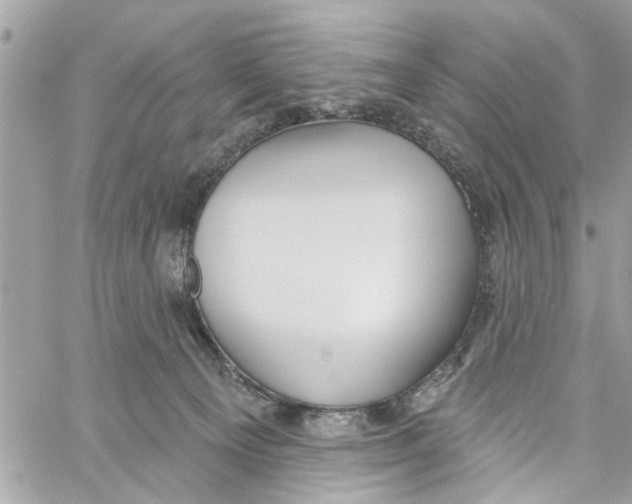 X0000059840129200511181523