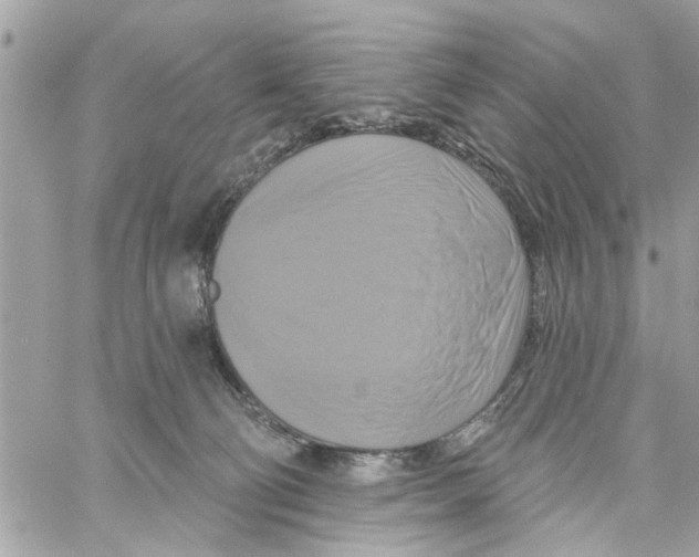 X0000059840130200511181523