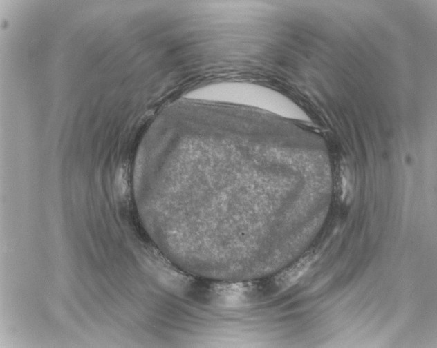 X0000059840131200511181523