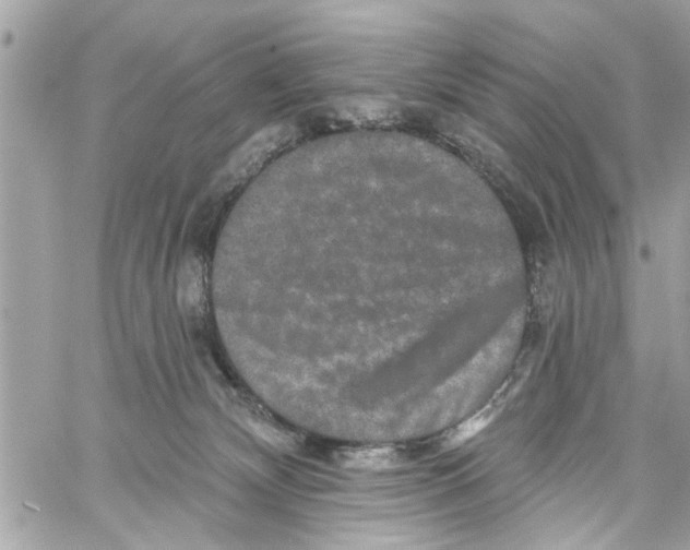 X0000059840132200511181523