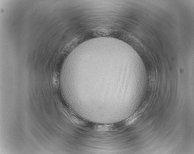 X0000059840134200511181523