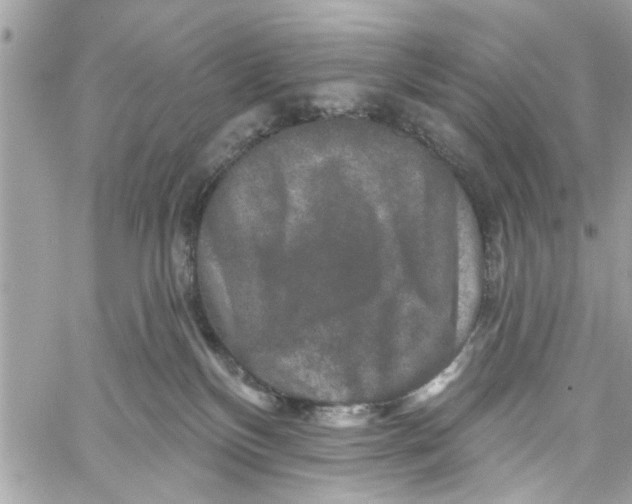 X0000059840136200511181523