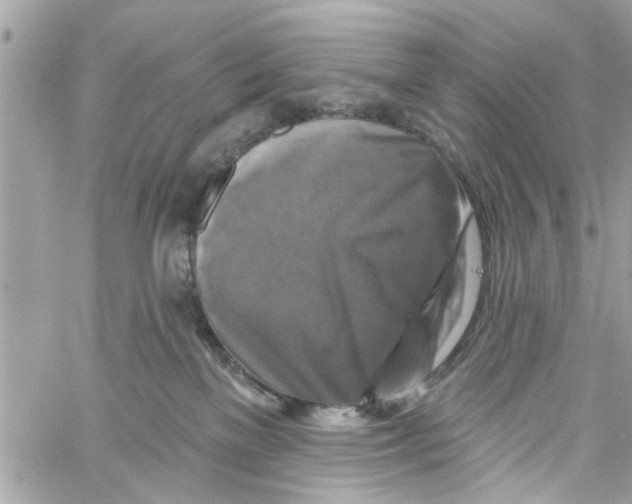 X0000059840137200511181523