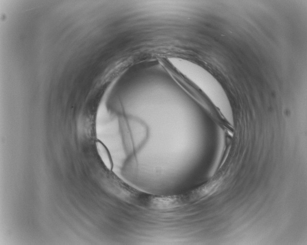 X0000059840139200511181522