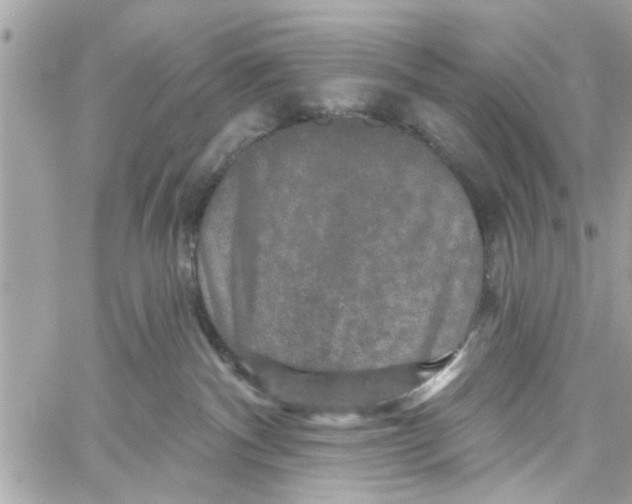 X0000059840140200511181522