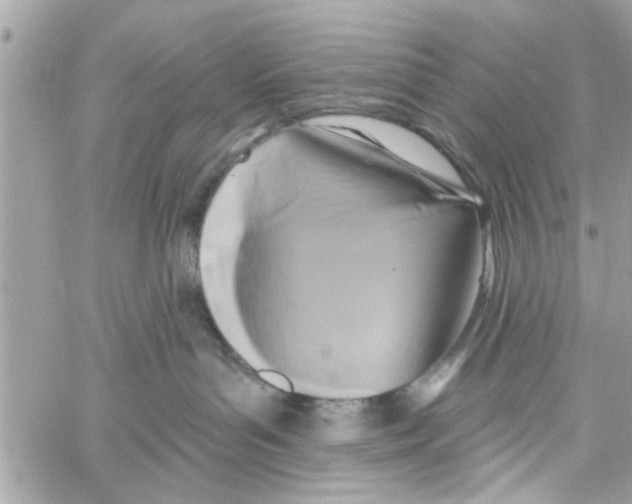 X0000059840143200511181522