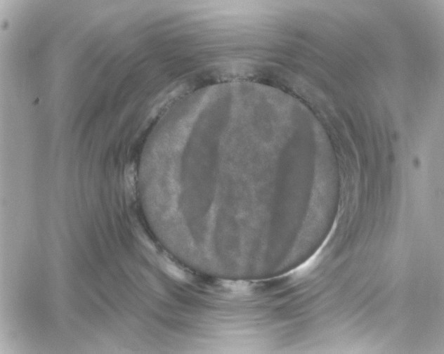 X0000059840144200511181522