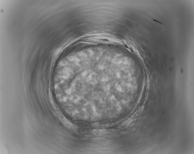 X0000059840145200511181522