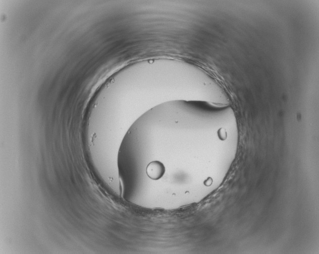 X0000059840146200511181522