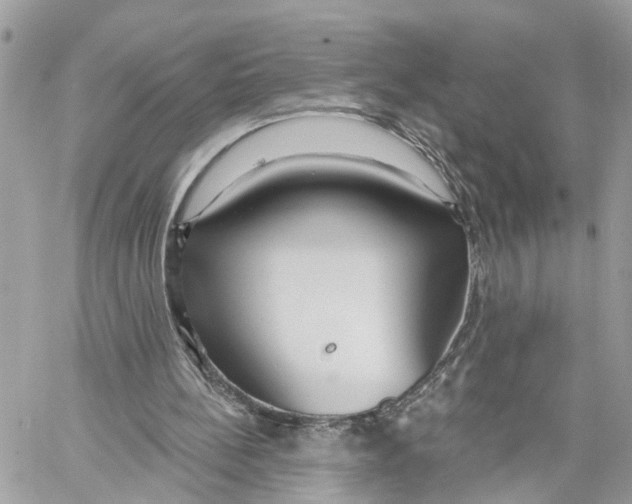 X0000059840148200511181522