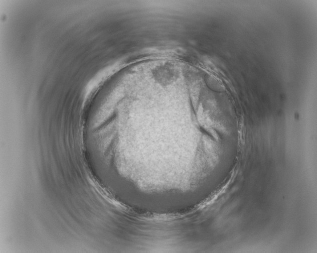 X0000059840149200511181522