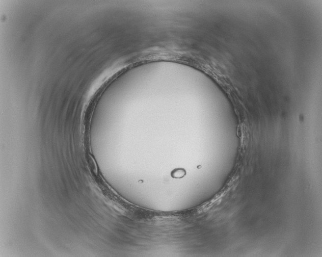 X0000059840150200511181522