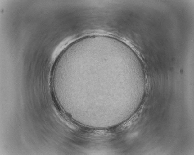 X0000059840151200511181522