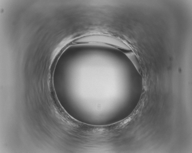 X0000059840152200511181522