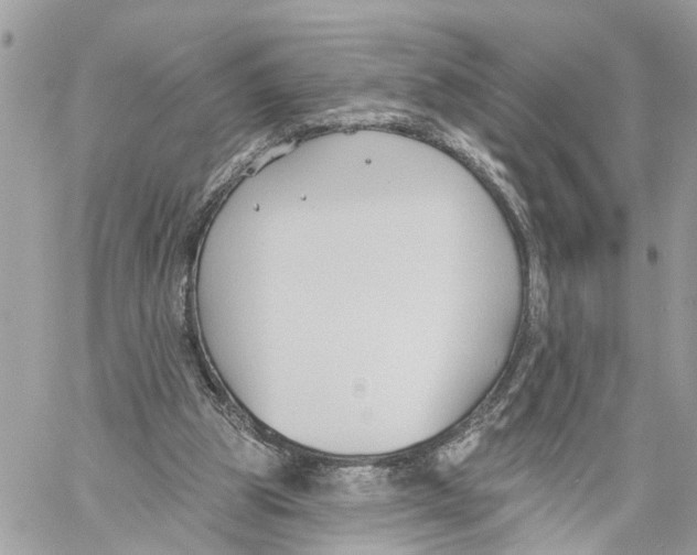 X0000059840153200511181522