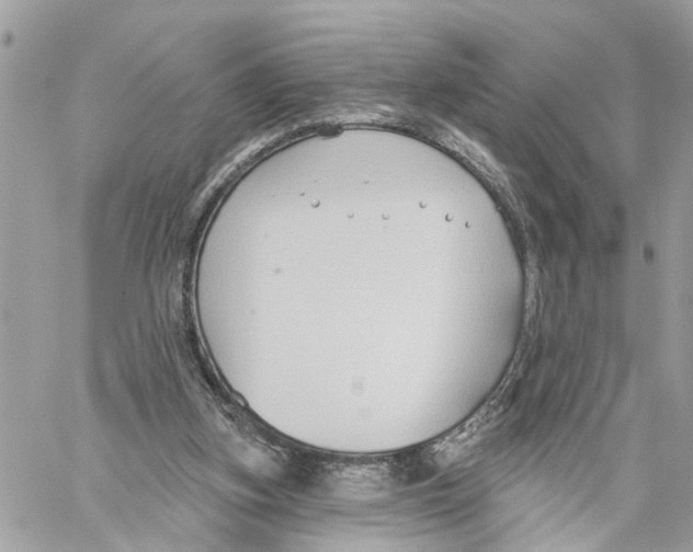 X0000059840155200511181522