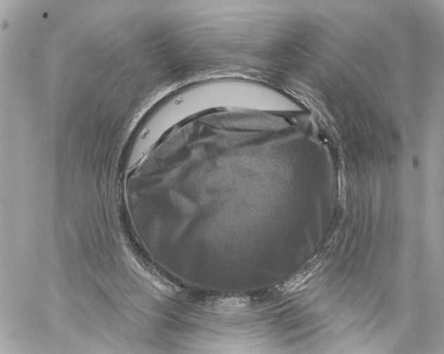 X0000059840156200511181522