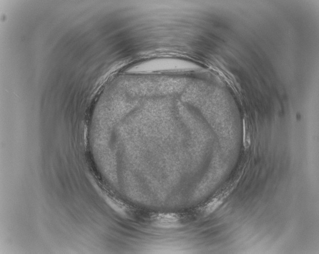 X0000059840157200511181522