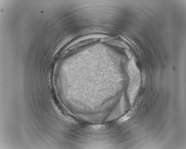 X0000059840158200511181522