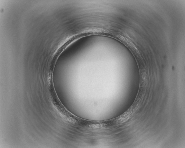 X0000059840160200511181522