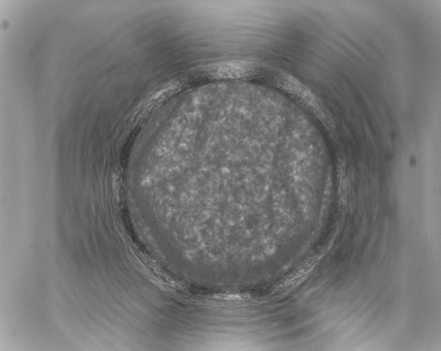 X0000059840161200511181522