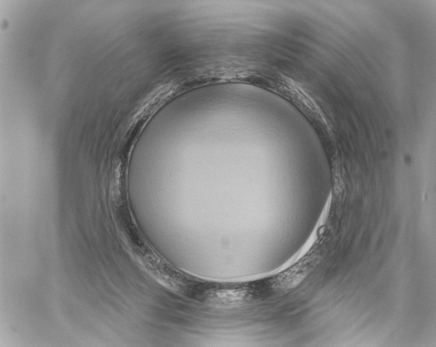 X0000059840163200511181522