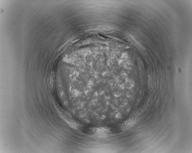 X0000059840165200511181522