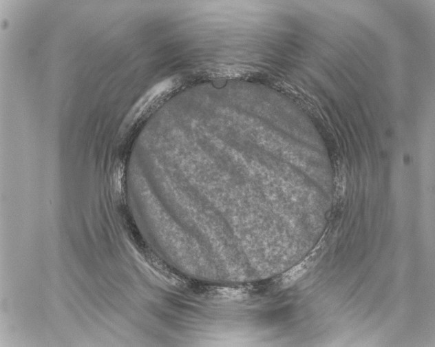 X0000059840166200511181522